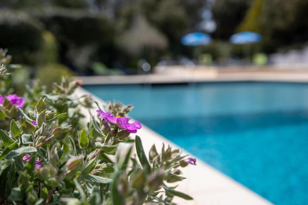 Les Arbousiers Village Hotel Provencal La Roquebrussanne Esterno foto